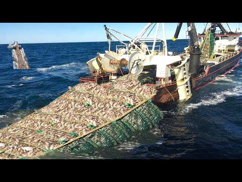 Amazing Big Catching on The Sea With Modern Big Boat - Excellent Fishing Net Pulling Technology