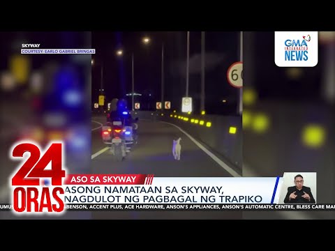 Asong namataan sa Skyway, nagdulot ng pagbagal ng trapiko | 24 Oras