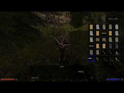 Gothic 2 noc kruka - 19 lvl bez gildii