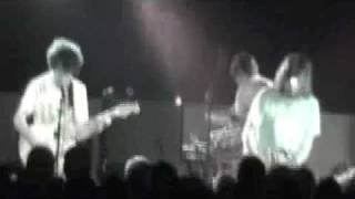 animal collective street flash