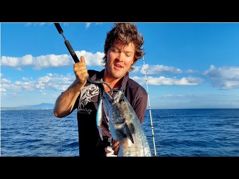 Hamachi Tackle Japan in action