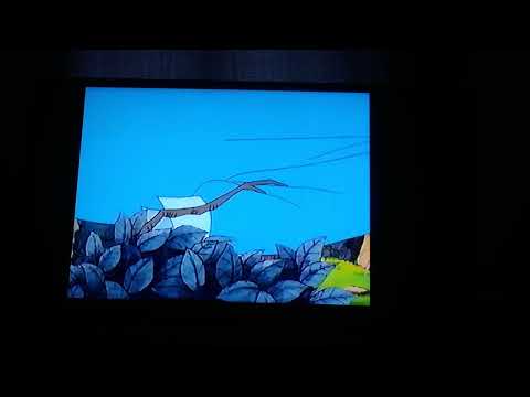 Little Bear Episode: Father Bear's Nightshirt