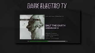 Assemblage 23 - Salt The Earth (Futurepop) (2016)
