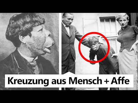 Die bizarrsten Experimente aller Zeiten