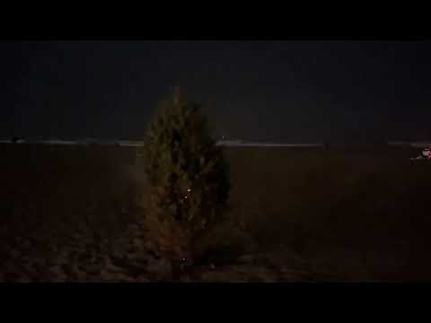 Ocean Beach SF Fire pies January 2022