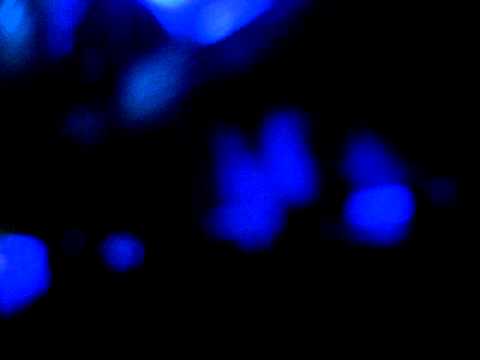 DJ Rosa Ventura - Spirit of London Blue - MegaBlast 16/10/10