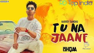 Tu Na Jaane - Harrdy Sandhu