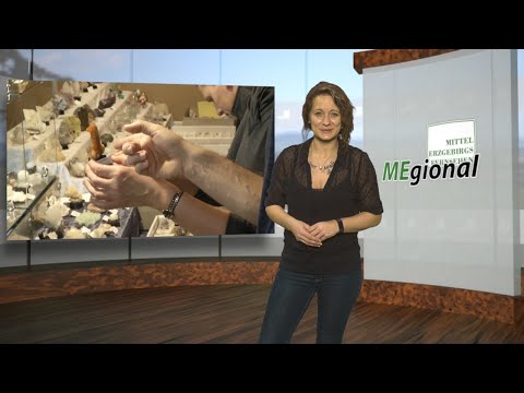 MEgional am 11. Februar 2019