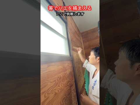 【武道・武術】ハエを箸で捕まえる！？宮本武蔵の伝説にYASUが挑戦！！#aikido  ＃karate #martial #武道 #空手＃筋トレ