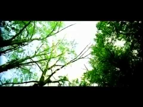 Chris Prolls - Fuck You