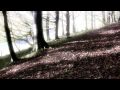 ATB - Circular Symmetry (Videoclip)