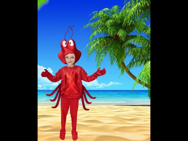 Vídeo relacionado con AKOOSY Gafas de Sol Infantiles Divertidas de Cangrejo para Fiesta Cosplay Ligeras y Resistentes Accesorio Original para Niñas Cumpleaños
