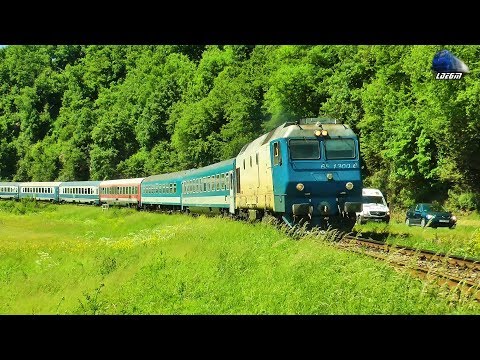 Horns Concert de Goarne By Jimmy 65-1300-6 in Defileul Crisului Repede`s Canyon - 01 June 2017