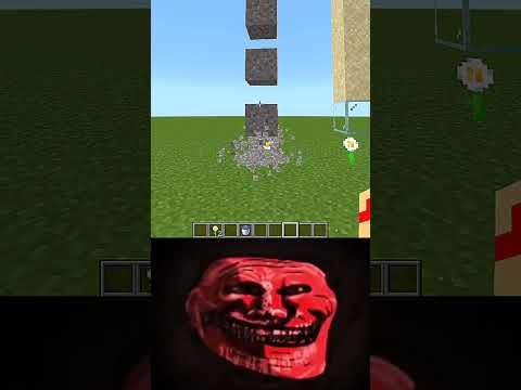 Unbelievable Minecraft Logic explained in seconds