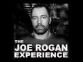 Joe Rogan and Eddie Bravo Talk Cain vs JDS, Roy Nelson, Shogun vs Hendo and Draws