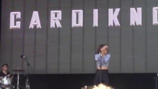 Cardiknox - Into the Night at Firefly 2015 6/21/15