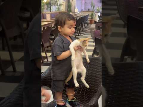 Cute Baby not leaving Cat🐈 alone🤗😂 #cutebaby #viralbaby #cat #cats #catvideos #babyandcat #funny