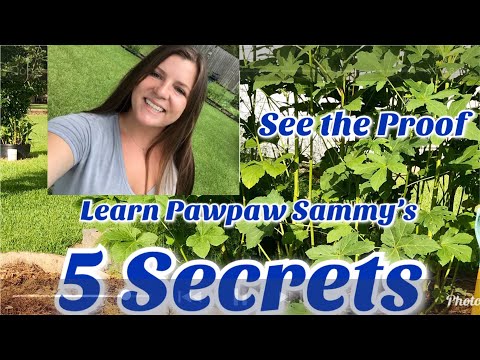 How to Develop a Productive 1st Year Vegetable Bed & Reap the Benefits of This Process