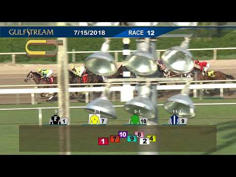 Gulfstream Park Carrera 12 - 15 de Julio 2018