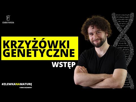 GENETIC CROSSWORDS [INTRODUCTION] [Biology Matura 2023 + studies] 👩‍⚕🧑‍⚕