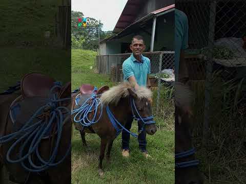 Manrique Guadamuz   Cabalgata Parrita 2026