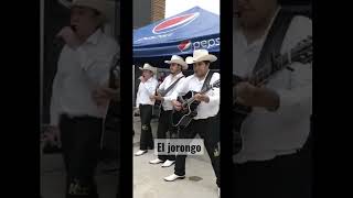 Totalmente en vivo el corrido del jorongo