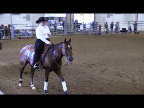 Alexandra Hatchett and Hickorys Baylite