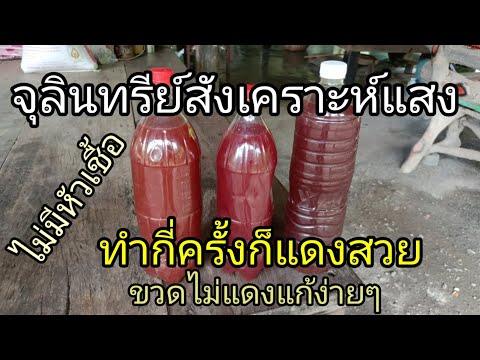จุลินทรีย์สังเคราะห์แสง ไม่มีหัวเชื้อทำกี่ครั้งก็แดงเร็ว