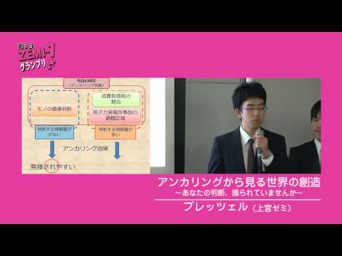 大阪経済大学ZEMI-1グランプリ2012　プレッツェル「アンカリングから見る世界の創造」