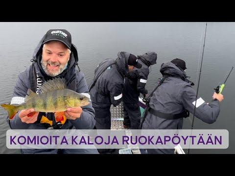 Fileahvenia Pyytämässä • Mistä Ahvenet Löytyvät Järveltä• Ahvenen Kalastus • Ruotsinreissu OSA4