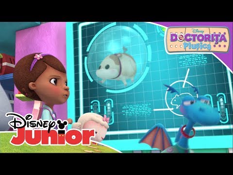 🐹 Echipa de salvare: Cursa prin oraș | Doctorița Plușica | Disney Junior România