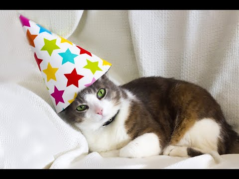 Covinsanity 03/14/2021