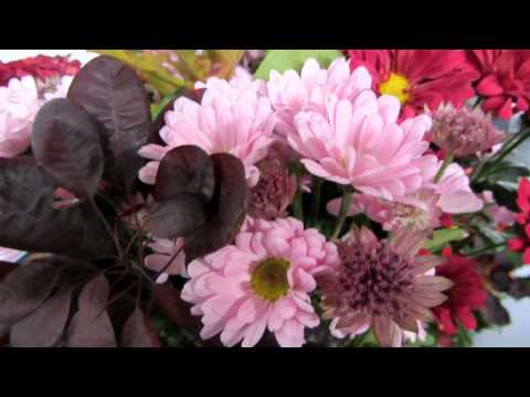 Opwekking 252 Heer doorgrond mijn hart