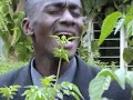 Ndikurira Ringi I Wont Cry Again