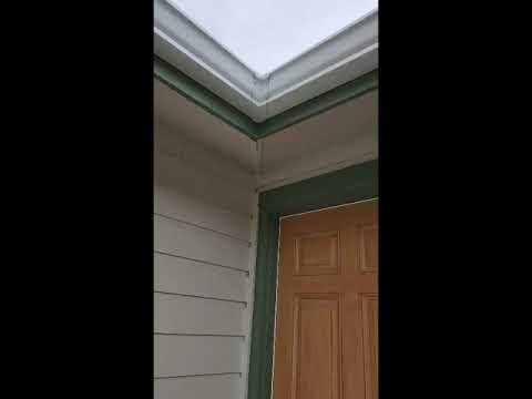 Dabella took our money and ruined part of our house. - Image 2