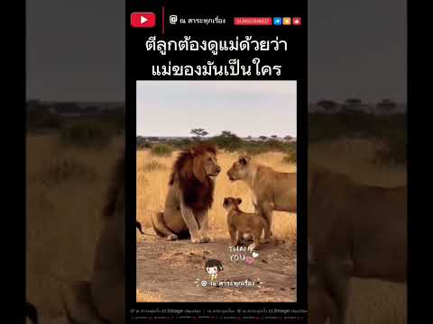 #ให้มันรู้เสียบ้าง #น่ารัก #ความรัก #ครอบครัว