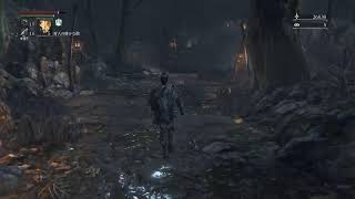 Bloodborne