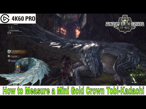 Monster Hunter: World - How to Measure a Mini Gold Crown Tobi-Kadachi Video