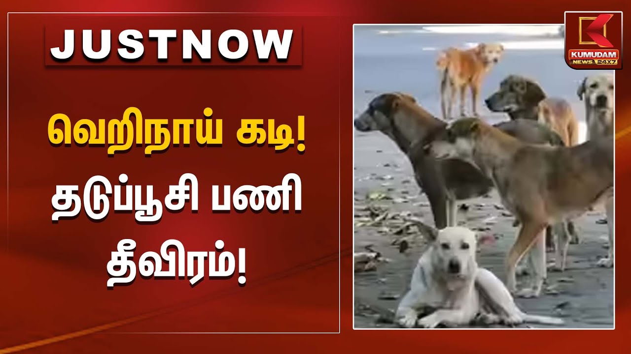 வெறிநாய் கடி! தடுப்பூசி பணி தீவிரம்! | Rabiesprevention | Kumudam News