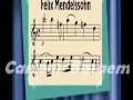Pet Music Little Einsteins AR
