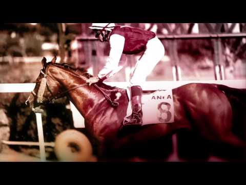 Emission Pronos Courses - 17/02/2017