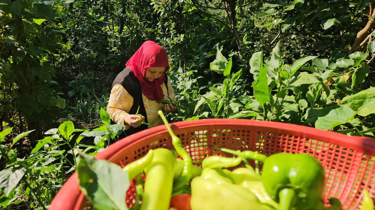 ‼️PAZARIMA ALIŞVERİŞE ÇIKTIM 🛒🥬🍅🫑🌶️