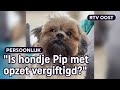 Hondenbaasjes doodsbang voor dierenbeul in Rijssen | RTV Oost