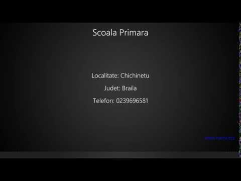 Scoala Primara Chichinetu