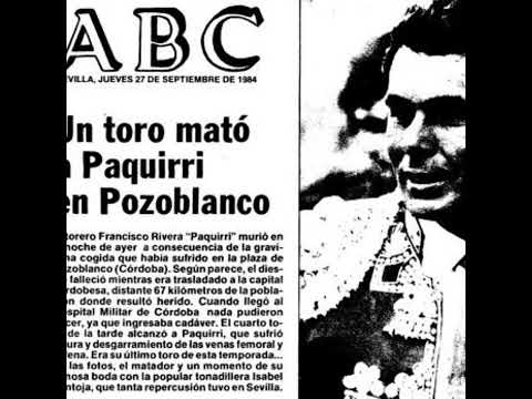 El toro que parecía bravo, pero solo quería cariño