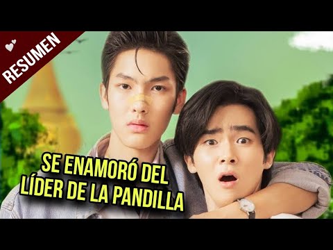 🧡 Summary: A very romantic gang leader 🌼 (I Will Knock You) #iwillknockyou #raikantopini