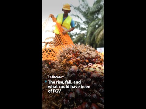 The rise, fall, and what could have been of FGV