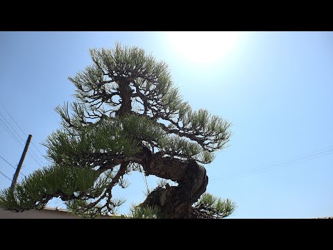 基礎管理の概要