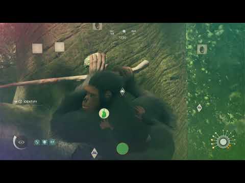 Monkeying Around in Ancestors: The Humankind Odyssey - Part 8