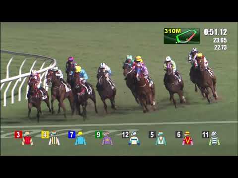 19/5/2021 (684) Rhapsody - J Moreira